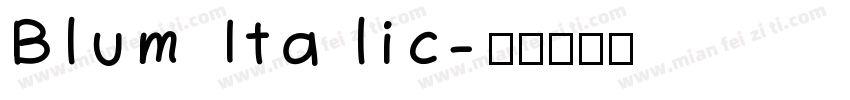 Blum Italic字体转换